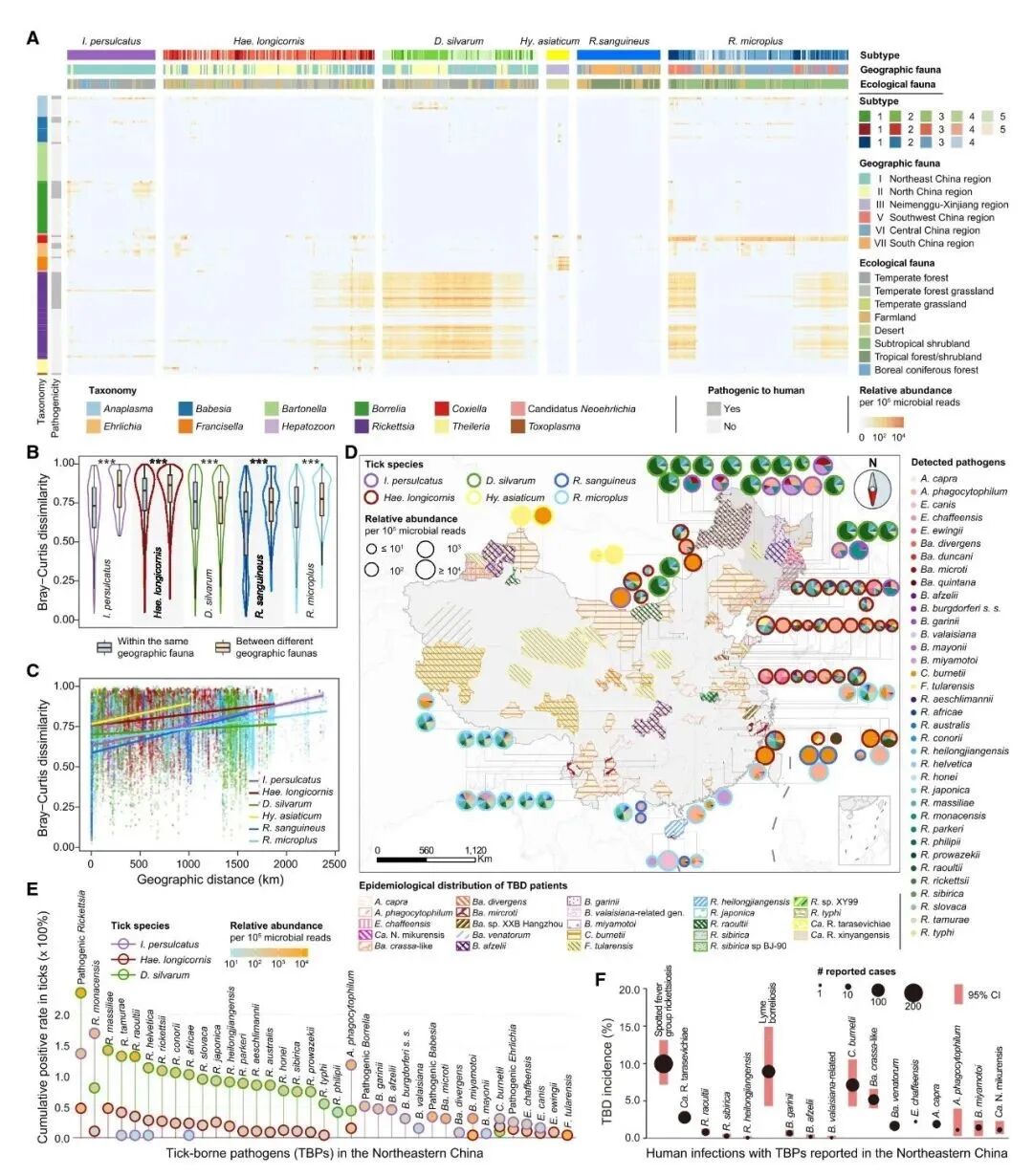 RmFicvQBAkgChQooMJE8LUFBc4w3MoMLbG1CvBH0L9zPxAjDwSjZ6iczQ9COnsEUsmiaAtPyPekjHHnibxKoQKZZmw