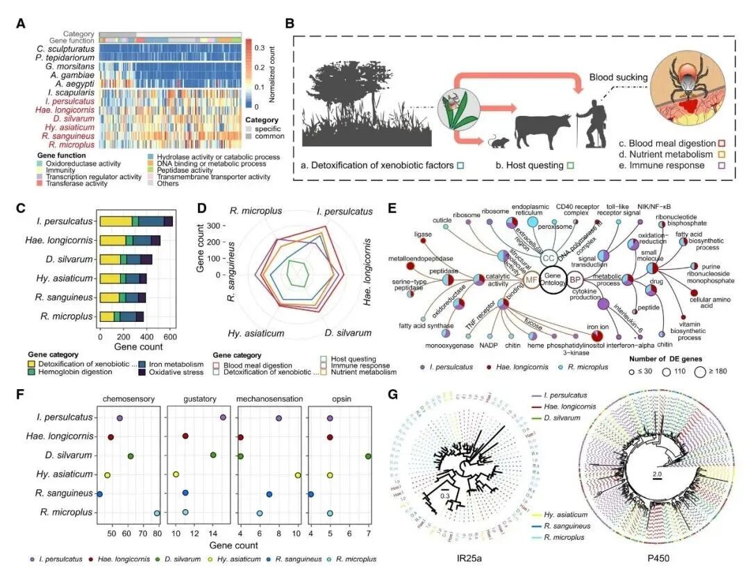 RmFicvQBAkgChQooMJE8LUFBc4w3MoMLbHCibAGIzKichX4nicCibbxciccSJJRRklPTFjdqIPfFrWRInRtJBglpGLbg