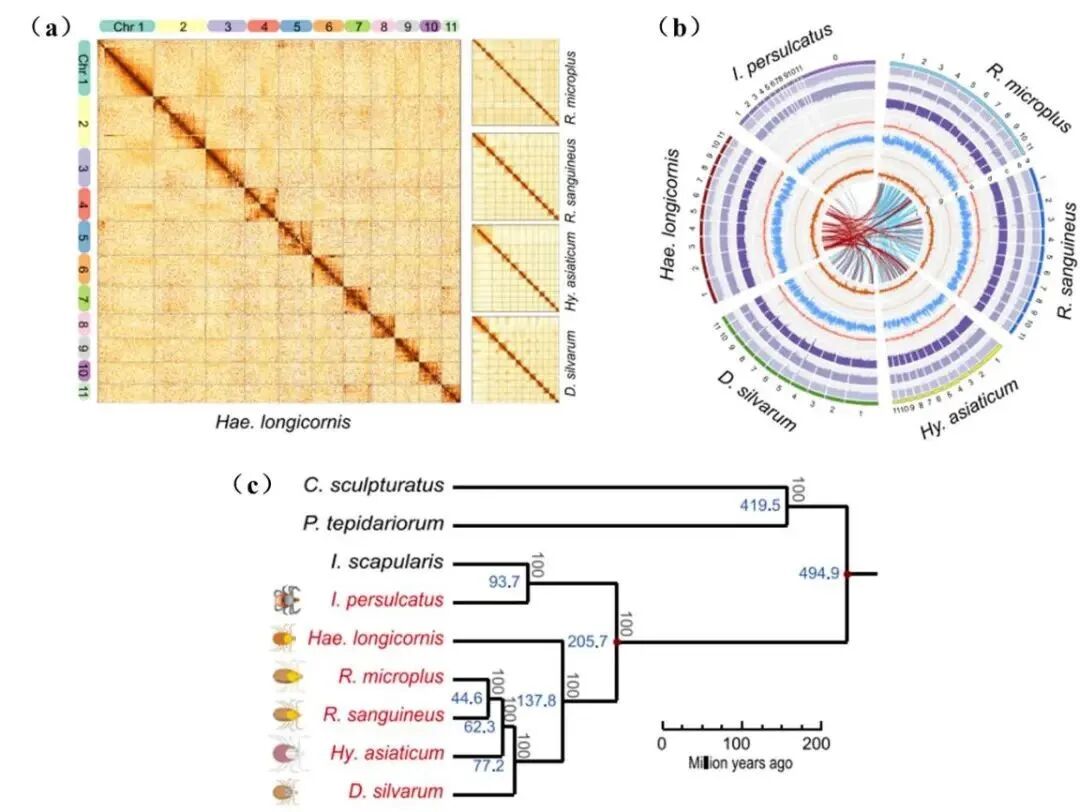 RmFicvQBAkgChQooMJE8LUFBc4w3MoMLbS671yroVhxTe4f6Sia4fTPaH0nib9veW0W9K29oTC8vqiaCBXM4D1qSlQ