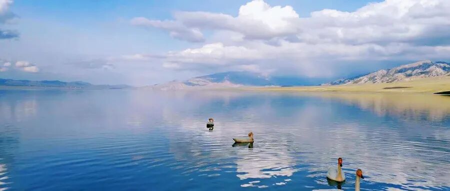 RmFicvQBAkgChsw65a5H1vSIqp80uNZ1rvn7hPunfTniaSDuh2JfNSUCJu3PicRVpRxlLoictHHOlWU1iat68l4UKbw