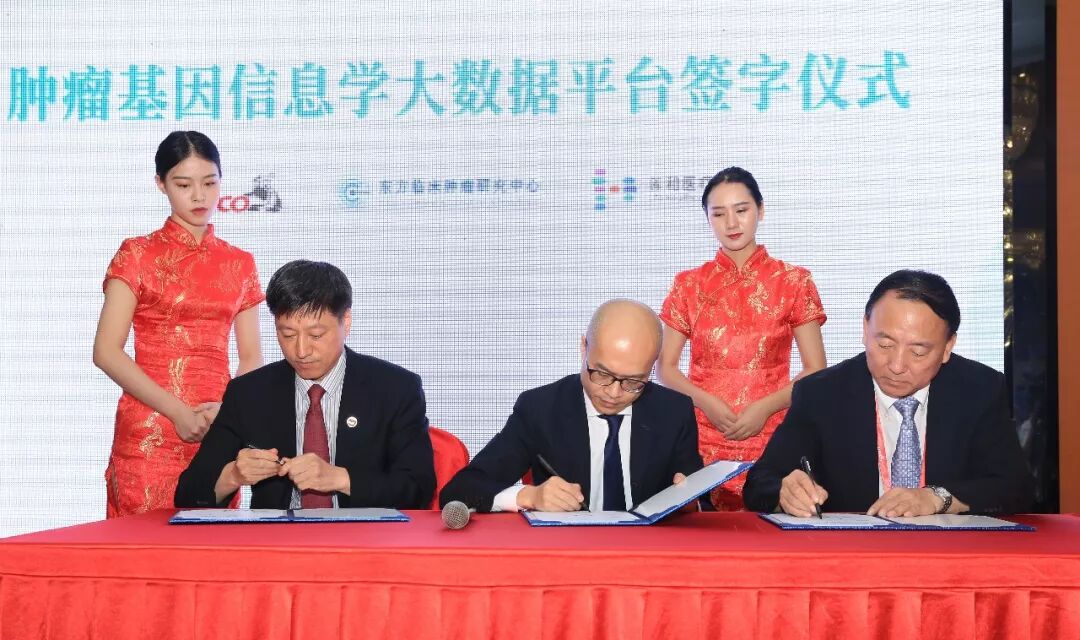 RmFicvQBAkgCibKo1PlYbcP80L6icicAo6FqAibSDF6KudndvTibYhCLT2aRkSMl4iaCfG0zcxWiarcjYFdcaYshsHaLGg