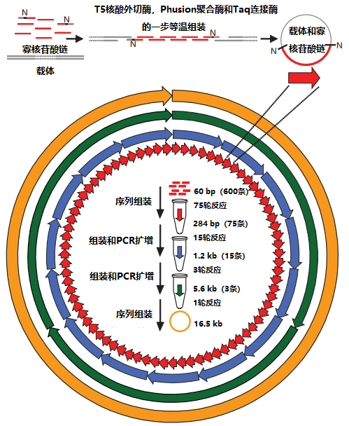 RmFicvQBAkgCkCkHdIlu2HwECyQ7N4pC4cpqo3VCRNl6nOX7ZIsNCVvNTRw9ib6O6wP17qlRjVbLxcsSzgF07CJA