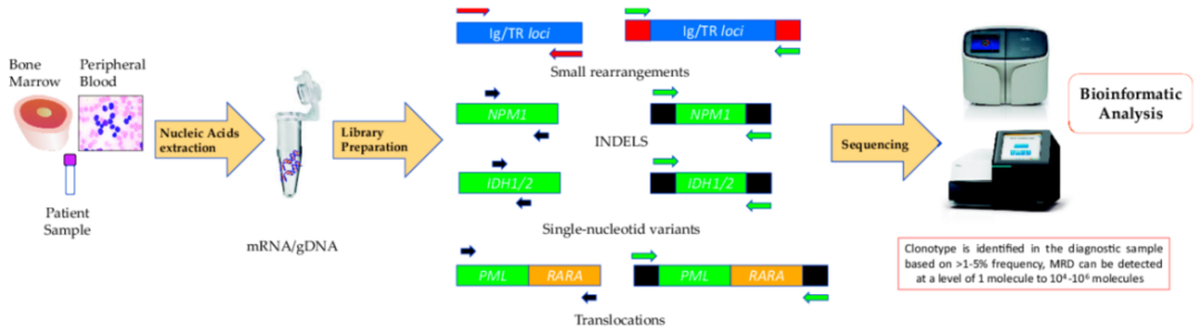 RmFicvQBAkgCmDz3SgnnYiaJz7DE6EqzU4tbHEiaghv5a7BxfaJgXmd8AIpxHtbD7A2Hl540PvgCnVXgf3DnjwhbQ