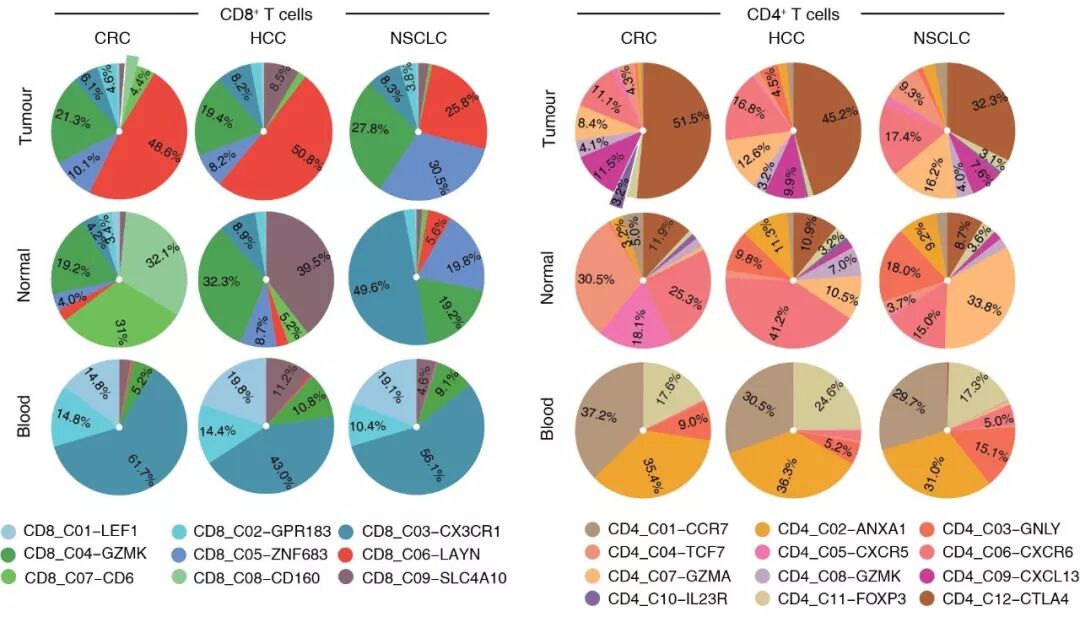 RmFicvQBAkgCmh7XECNpZXsjgWjlVyU7nNkb4P04HT0iaP09R1J5jzvGTIpRdUFkwYUAXnicUp5xZnZgSaZicgoNdg