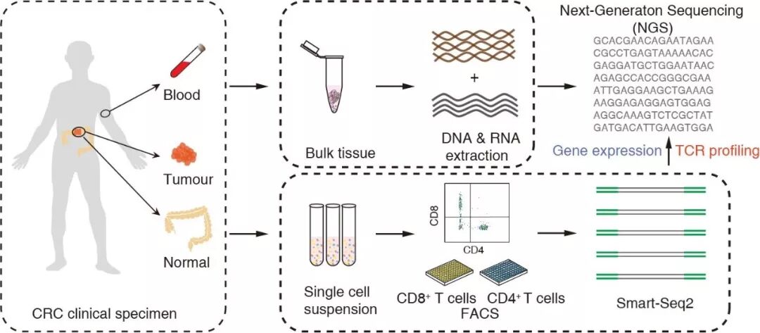RmFicvQBAkgCmh7XECNpZXsjgWjlVyU7nhPpJIuOauj6m0mMUxhqvKdUeh8W3LkxYbpbcictJEpYJcFNpJl3o2TQ