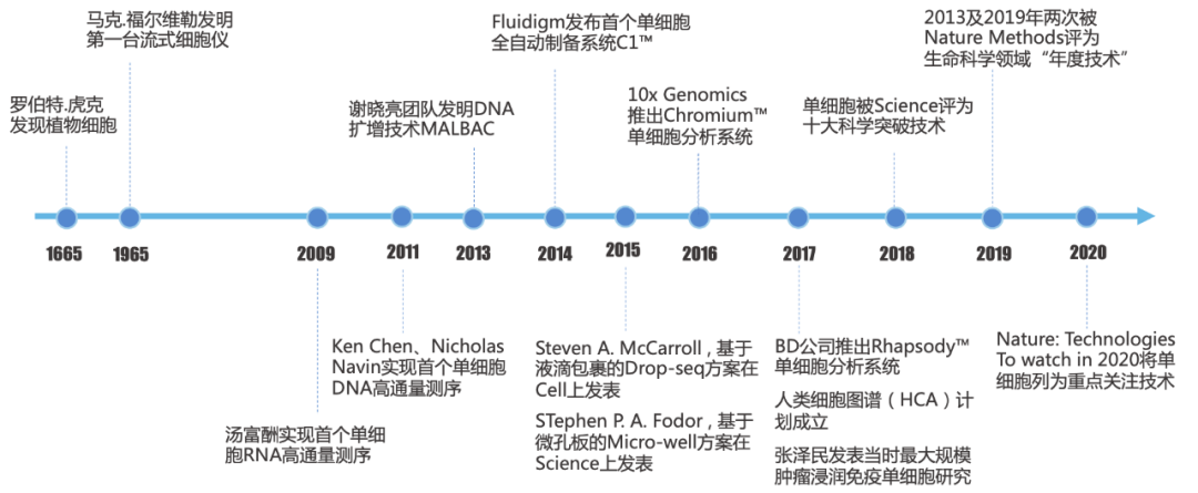 RmFicvQBAkgCnW1b6xmJAQibLYuYbDoVaz3ibyfFNAqqKnuz4CDbVaHQxN8c7M0CJniaG3FOYOWdfnyxiaibEhg4WLeA