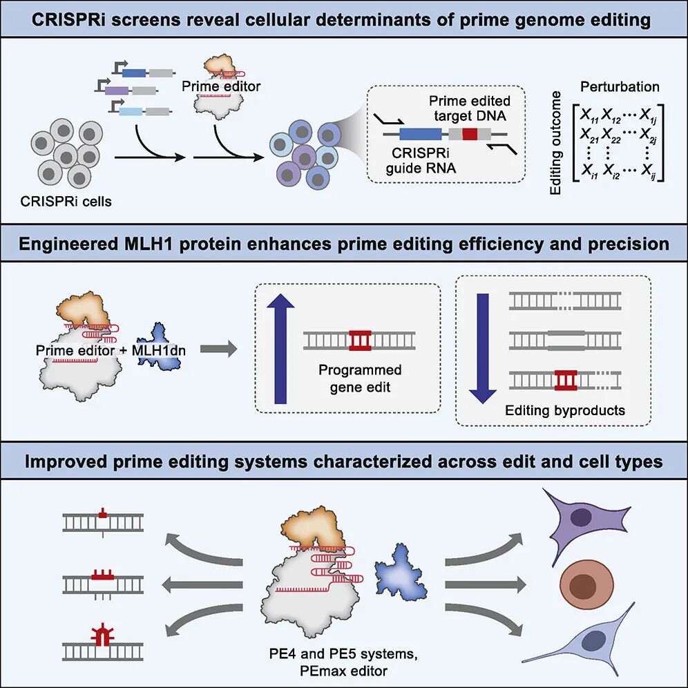 RmFicvQBAkgCnhic8TPTSASY9vhV9lwxEmFoVfMiap3lNkFU1NklkQRtz26a8hQpooptrzXqf9UVe6iaTHfibXdmIBw