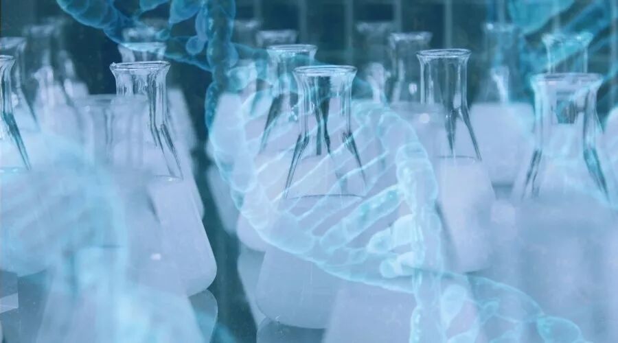 RmFicvQBAkgCpUgdXYRaX1YQzdIE2YN9apKleQndpP6D9ic3wN1E24Zgd6iatVPOHmW8ltorvbAbIfy9RY7LL9Kvg