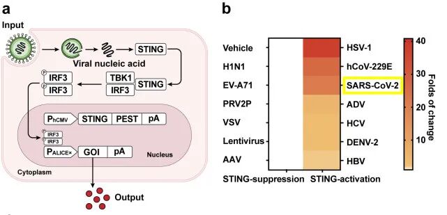 RmFicvQBAkgCsdWyY28NcqiapvsPF4Y1kVXxMChicrbRFF9IMiaRGq60MicXuIhxwHmveJGBkCjL7icUc5oicdbBereBQ
