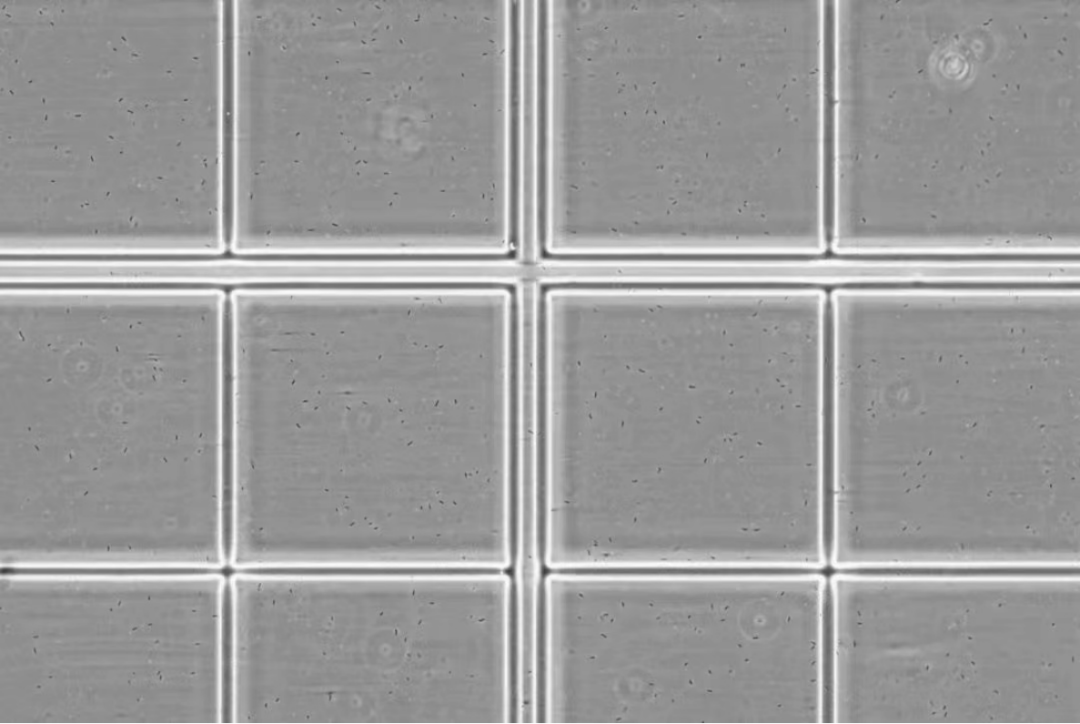 RmFicvQBAkgD1bTduFrmD4JDyrvecAoEesNsA6D3T8iaGSAPiaNZ9eTwUTHv5jJCicYGv4habIyFSLZfgial8IDcrcg