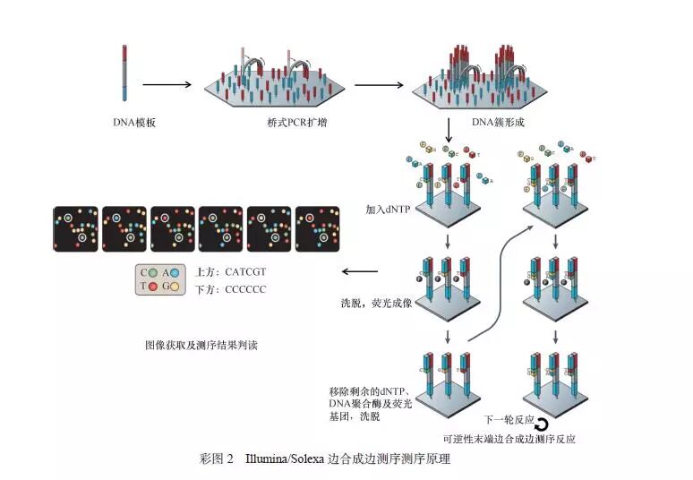 RmFicvQBAkgD1cRFVuVnR8SI3zvnvWAwd8gUkzboeZBTsalYOhb2CaVGB9ycicY69IKYlXXrBiaw7d9j8dZktZaQQ
