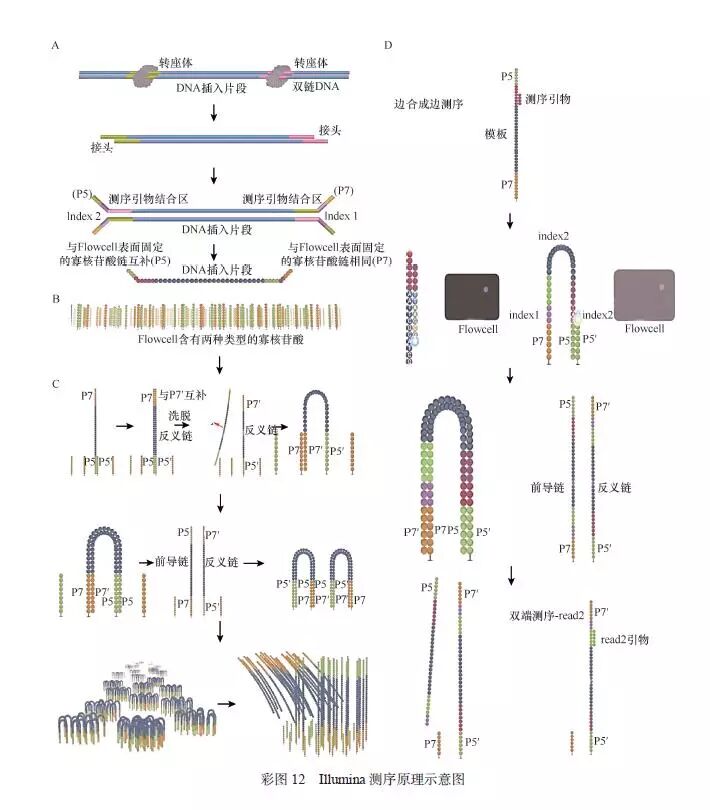 RmFicvQBAkgD1cRFVuVnR8SI3zvnvWAwdDBU6OWGg2CiayicF5rOT8Wibia1a4Kz0vrbrTdrlp0iaTeuGicUYcCHDm1eQ