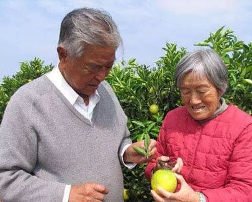 RmFicvQBAkgD1ePY6ykNqHiagVH4Ee5ibFCD5ia4xBm2RoNVpzjufKOU4B2vrvMRrjJ7d40ftQ2hLOpggicZKVic3TXg