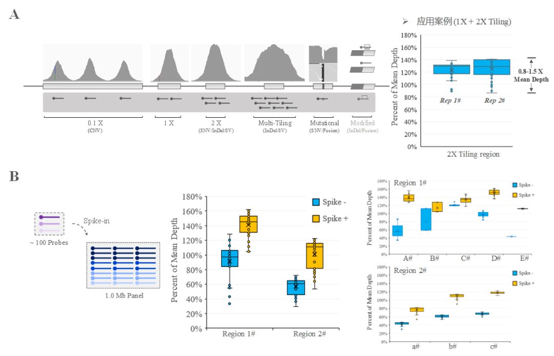 RmFicvQBAkgD254N5ibF9aVBe00xta6TnlI6ZOww4xyDv5cAvSCrFNTnD6OtkDFSJHP2DJmUFALuS1ic48Y9MQpSQ