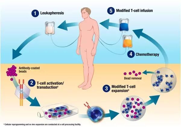 RmFicvQBAkgD49vyRiaQcdTPicD05kRdyeHMlExKIy1YtZrQibkJeRq6Xp6Bicd7CsBjic9AhNn7EicbhQu4VPWaczwOA