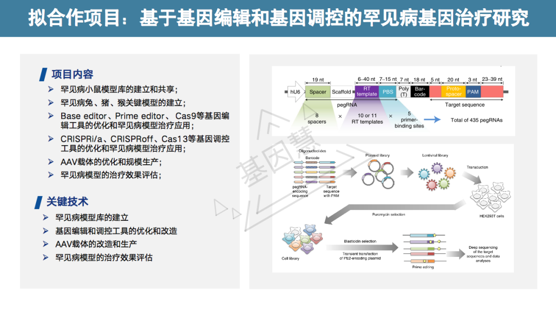 RmFicvQBAkgD4FAKerJI0ZKlUkeo1gNMvVIFa0Mm98s207kk6nZL0GaqGXZrBw11gYtjaXu4kUcibyMTTLh5hvWA