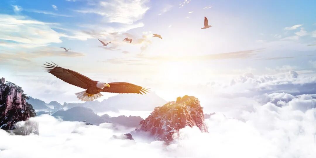 RmFicvQBAkgD5GTJlfwkagKVPBGBgpKNVXVJgia8nfwTsT18zoadficQjHZ9A6OAkV2ibXbQMyOAUbtFzEt4QWS33g