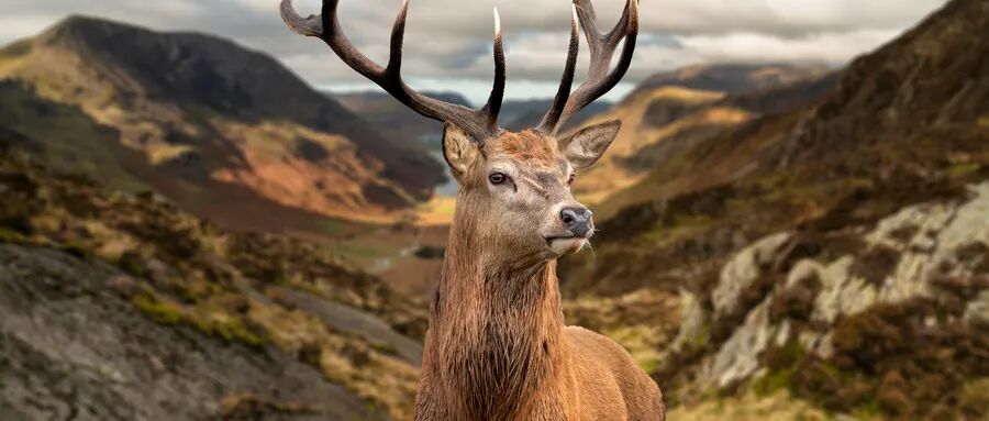 RmFicvQBAkgD5ppQZGn4e7J7vqstWXP163Z9dmlxtZjFsuuHMhMMlicNbwhC7EVF9snkT1Aibcl3onibVanyOFwPpA