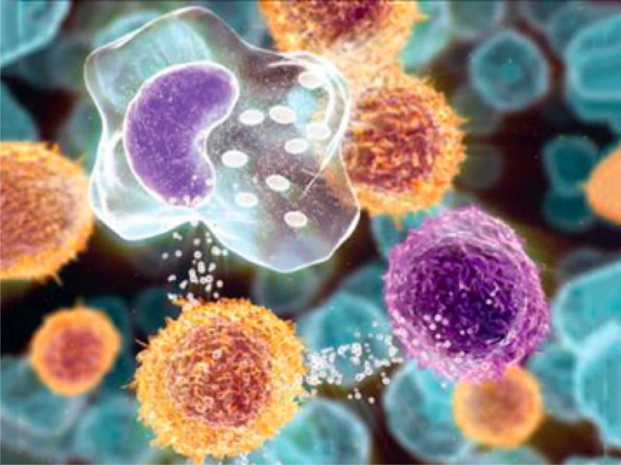 RmFicvQBAkgD9Nwd3Gr9fkBnU68LVMB3KwwA6fum2kRwqE6fpGZArKVrcCqWhfYzLRpNgauu3ErPmicSib9J1bcTQ