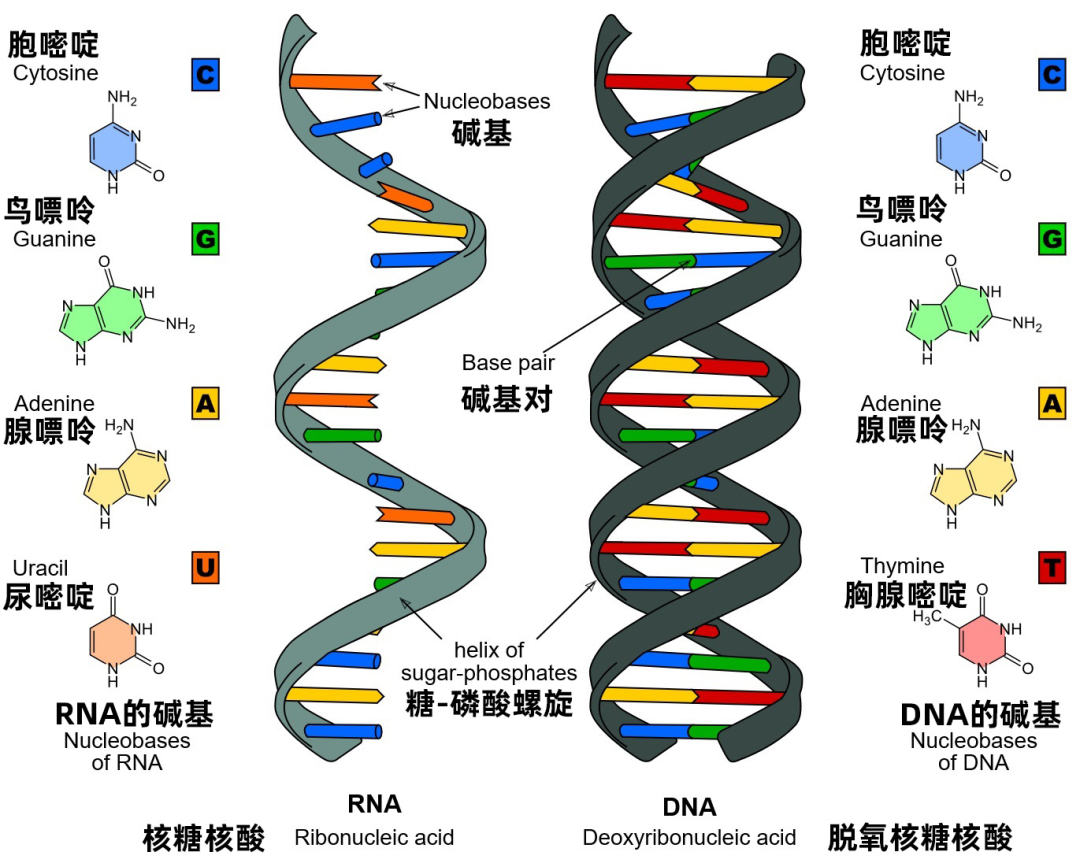 RmFicvQBAkgDA7J7ibruD22r4GMVCyXdyYFCkNtBKDeVR7xIozicrazyBo7fmiceiajPr83iaMyicd1ibW9d2eVVicytYow