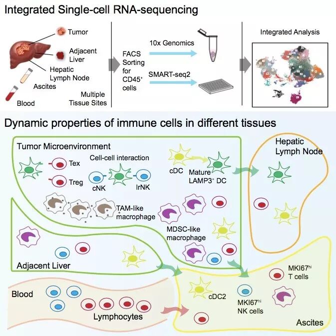 RmFicvQBAkgDAtMXBIibUm3Kp50Ebiak83dUVDjPTINs4rzHkCVdeZsKqA0R2ux0fhXGxGWrRxa9hJ8ykFeVgKvOA