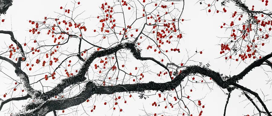 RmFicvQBAkgDE7LPzSiafZTthsvicnbbIib4GhknrCIPeukSAlrc1GQBWWDjS7JKRs9F6396vdFSw8y2sbwzTeVzzQ