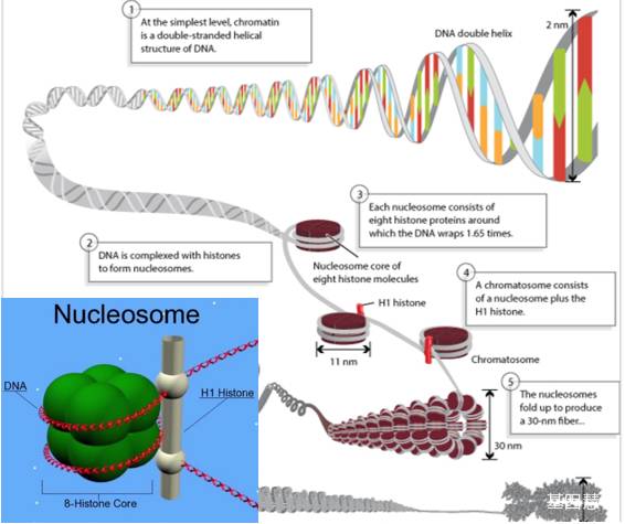 RmFicvQBAkgDEsUia5jbfibMgeRrNibH1ns06LdV8AvsicoeBXvPlPM14RGeFZ5jcbdthLmvqHibrZWJqvDlaAlDpksQ