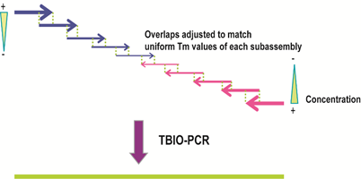 RmFicvQBAkgDGqJ25wBjOKiaY8dUKgVawQ5JDPpWkIBoNLGuHVEGeIa3F91ic2lzPmxXibLZ9orWebtqhNguoTOobg