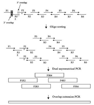 RmFicvQBAkgDGqJ25wBjOKiaY8dUKgVawQCJ8qtUPR8vH5iauBIG1GshPYHna8jtzSdqMjicuDNB7JQglPbFZgZanA