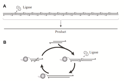 RmFicvQBAkgDGqJ25wBjOKiaY8dUKgVawQJgwRtQ8iaUHL0Maaicrd5GYNsm8kiaCy1InKkJyok1AG1Rbe1yg35Dc2w