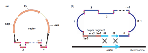 RmFicvQBAkgDGqJ25wBjOKiaY8dUKgVawQOibNNDqhBiany8zl8HCCngHGwjLPOh8S4L4RtmZI76eRcygO4VhBYo7w