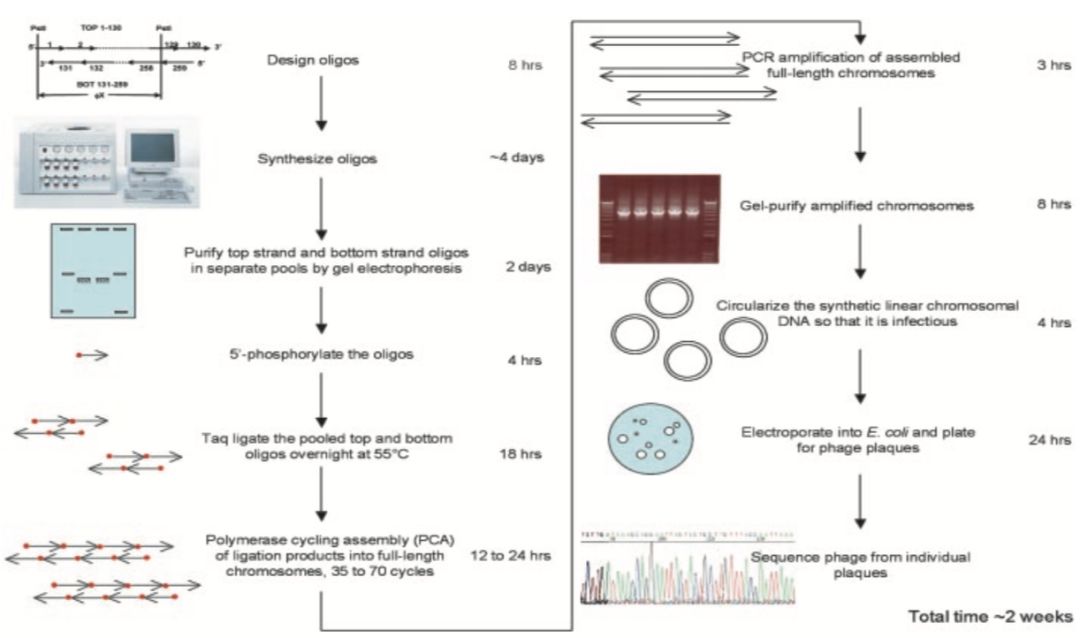 RmFicvQBAkgDGqJ25wBjOKiaY8dUKgVawQPlP0e0ksN6XHvs5HgRV0vMmxBQS6tZu4pRXnCvIBt3dNKH6nGmKlTQ