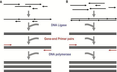 RmFicvQBAkgDGqJ25wBjOKiaY8dUKgVawQQRgibjIICwMUdPyTg0ic4xibREa12bnJrrrmKY4fsWCYs2BVlLh45uRJA