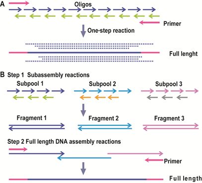RmFicvQBAkgDGqJ25wBjOKiaY8dUKgVawQVlwDug7s7O2ywFSecYIfJo8JicsqrA0PUxItQHhqEsXBicnVc5fkEXUg