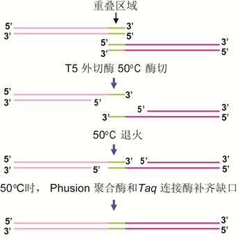 RmFicvQBAkgDGqJ25wBjOKiaY8dUKgVawQd6sT8IpHoblm8p5ReeGm0ItrYwo0Omx8lhwgQeeCzLAicYZpy23OIjw