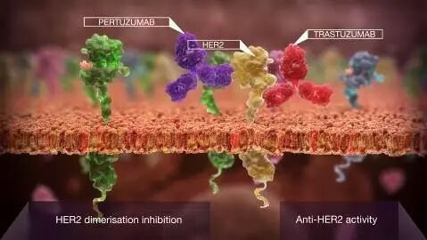 RmFicvQBAkgDH207icdaj4R9Hkd4PXI5M666edyhib8OTcibYiaVC3BxgNB1zUuhAxnQ7naBOAuhuTL1Zvf3t6S7lbg