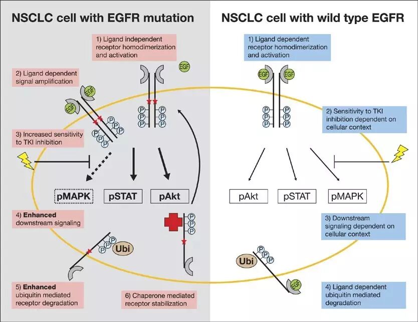 RmFicvQBAkgDH207icdaj4R9Hkd4PXI5M6ibffjh2CKKox7kABbRr5Q2BbZf7muR4lQK0C76XjvbyUHRJ9KxfjuUg