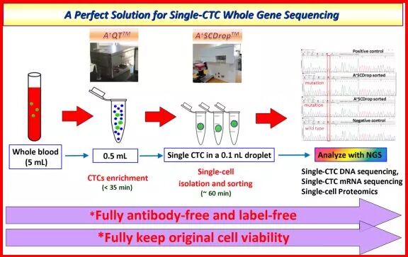 RmFicvQBAkgDJpcMuSCQK5M7cL7r6pRQ33vSQ0nzGUI5FD6NCxF5RKiaadbMRw7JibQMia9JZYL3aEzIYibNwyCCDNg