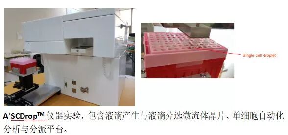 RmFicvQBAkgDJpcMuSCQK5M7cL7r6pRQ3AL3AeNX66w4mLIOabHYibJJm5OdicLeZZWvx2LRhPyGZJEYhWP3U06EQ