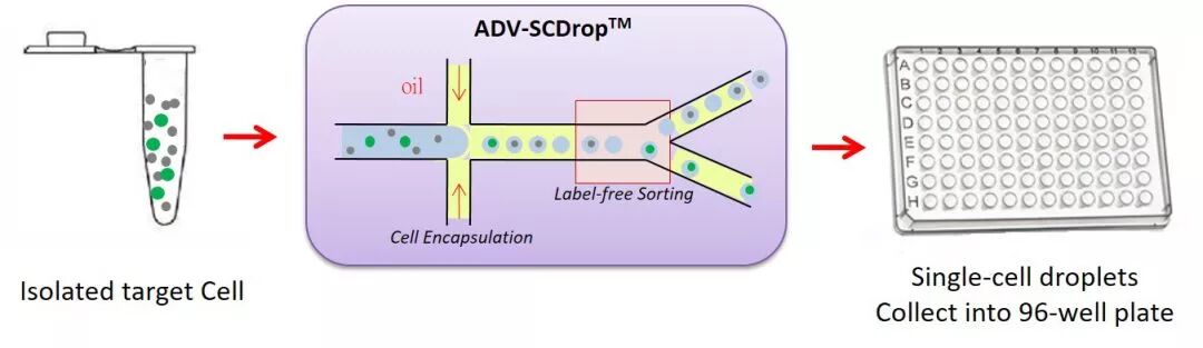 RmFicvQBAkgDJpcMuSCQK5M7cL7r6pRQ3aENmvBx03AwCHI8TtSxUZFuvVToAUIRQQeh3WhIsPibEhR0OXDAsBKw
