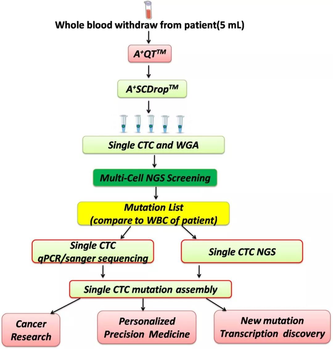 RmFicvQBAkgDJpcMuSCQK5M7cL7r6pRQ3qfXnCbfgaNeMJfQz7nX6SDLLMGYjdlDClhkgKbic4fPv600Wfpw1kdw