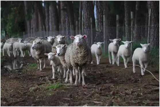 RmFicvQBAkgDKYx5cpicwXHDTKQJAXxPv4XvreOLibn0wb7icerqufiaDFQTb4VjVaEicScggXTlLXWQXIUslXQ7kgTQ