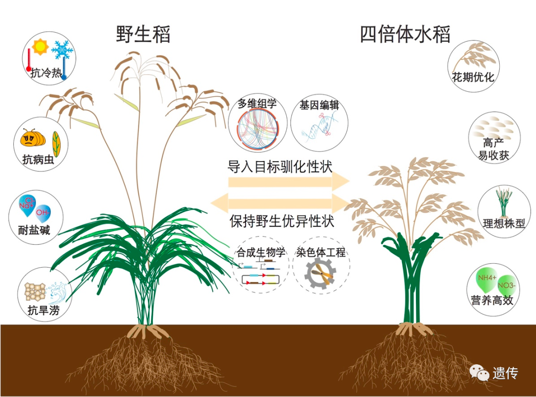 RmFicvQBAkgDKictuKJ31iaLAaib8Idtqtmo3YiaRIlvuYX9jN4APJ8nN5NPo3vgDQaZScLYOvST48TPtX7zG3rxbUg