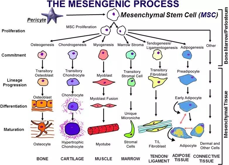 RmFicvQBAkgDPAARaT6QEzqASlCqMz67S96HQ4L7kEtnRicMHiaIAQZvVqGyoYAof8DiaCzbgruOfJCickR8wqbJ8Og