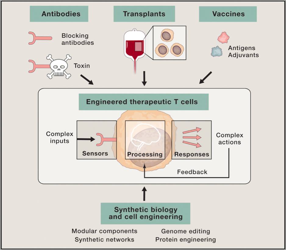 RmFicvQBAkgDQyvOSFBXcfVpP2pqNCKicSCqZFEmd4nnV1HLIAkFSxQ1DuQCmvBgdWXoyIeotiagicutQlsSAmviciaw