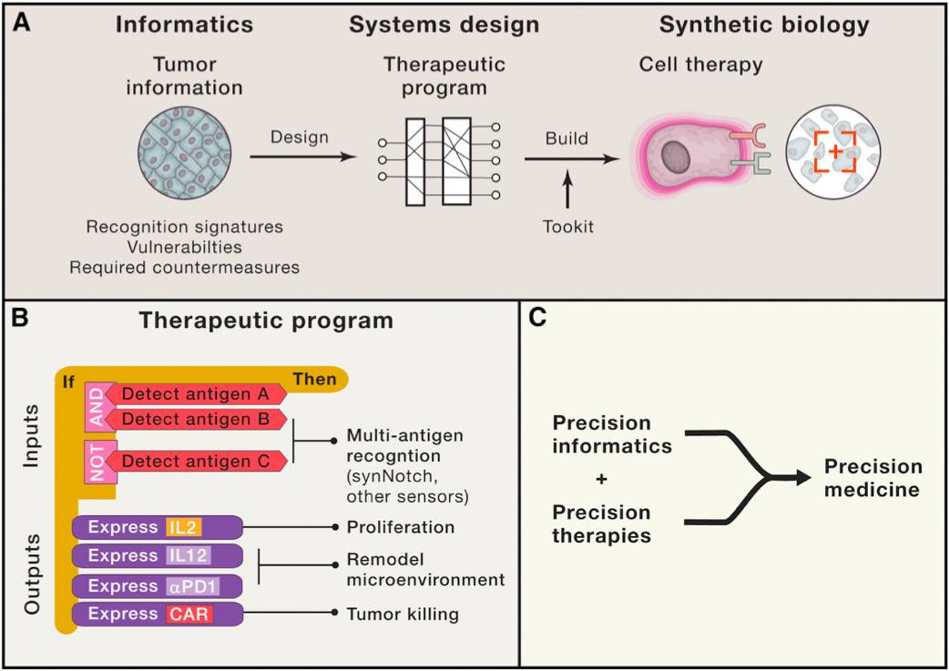 RmFicvQBAkgDQyvOSFBXcfVpP2pqNCKicSPqcWWFoQoxG1VL2m8PPXpxTfjGkl7vmIziagSYQZ0loRemtmvBMMNvQ