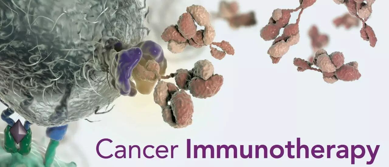 RmFicvQBAkgDQyvOSFBXcfVpP2pqNCKicSpB4QWLwWctFREnJxLnw2e5boegoCJHuzibHK5zkwg6FOhIvEvkH5rog