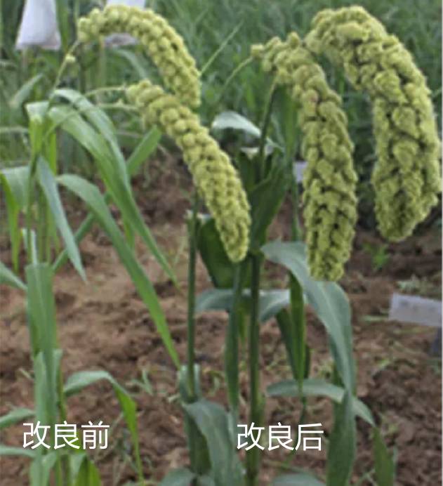 RmFicvQBAkgDTTtM10Y5bicZEW4XEicsr1NLvA3ib9m0syibAtoOY8aapjysIJAC4VlRZO4FTbuUs39ZXWSWxvibwf0A