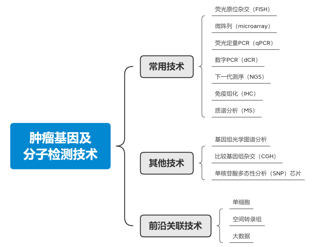 RmFicvQBAkgDVIM1QFCj1wY42xic5JnILbSdYCGq3z4OrGWUTAy924kYnxzGtDh7ic1alfzD1lqvuM5cf5rAOM5QQ