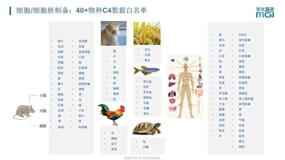 RmFicvQBAkgDVjGXawtg1yEzqKLcops4kNgaQCVRhrYicLEhCia9Zsvkzzq23kWhv9q70hoax4J1xdHdryLdbgNIQ